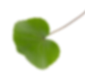 overlay-leaf